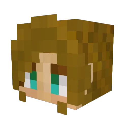 shrimpmail Minecraft avatar head, 3D render