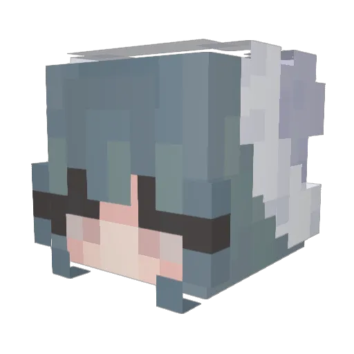 shrimpwhales Minecraft avatar head, 3D render