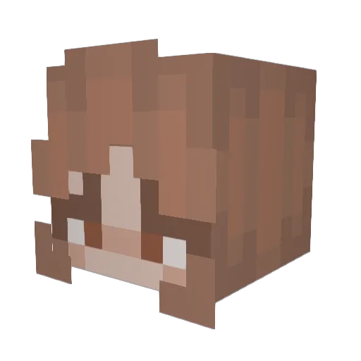 shrimpy1606 Minecraft avatar head, 3D render
