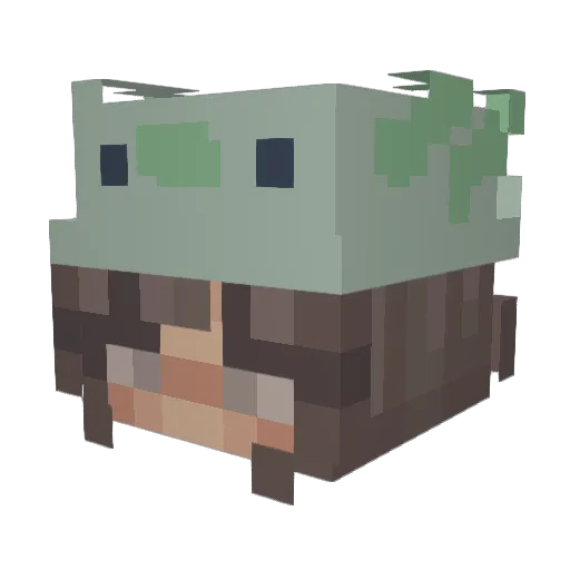 shrimpy_chu Minecraft avatar head, 3D render