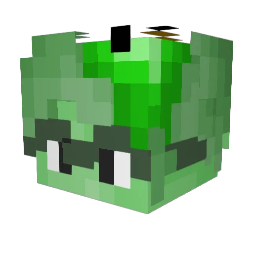 shroomsoda Minecraft avatar head, 3D render