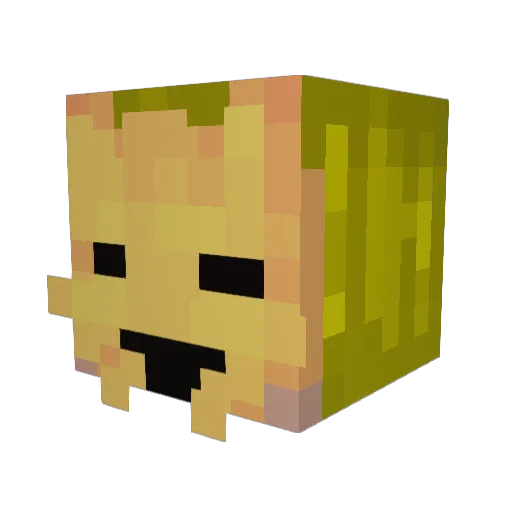 shroook Minecraft avatar head, 3D render