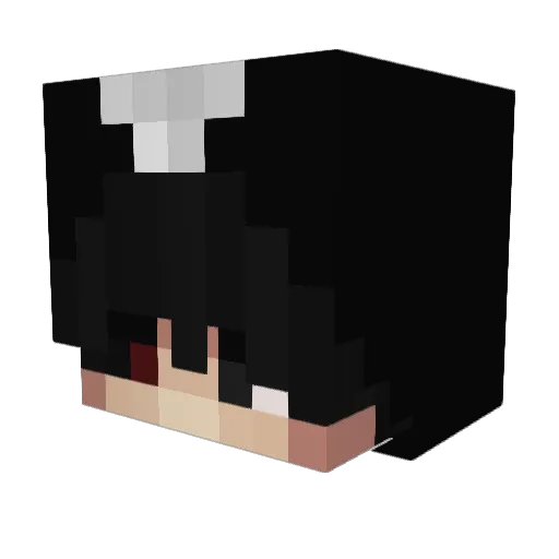 shry91 Minecraft avatar head, 3D render