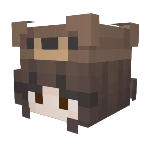 shshew Minecraft avatar head, 3D render