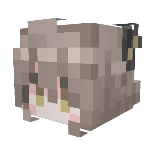 shuangxiu Minecraft avatar head, 3D render