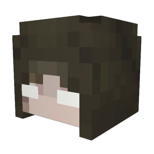 shuayaya Minecraft avatar head, 3D render
