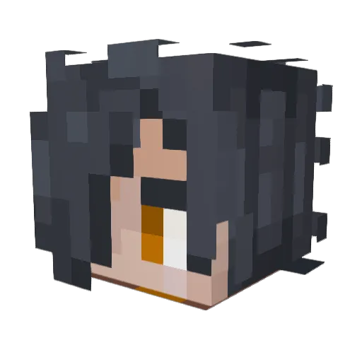 shubcafe Minecraft avatar head, 3D render