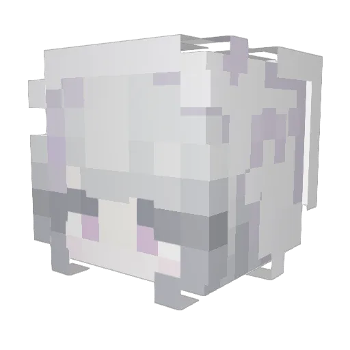 shubiiii Minecraft avatar head, 3D render