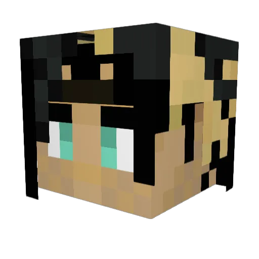 shuchan88 Minecraft avatar head, 3D render