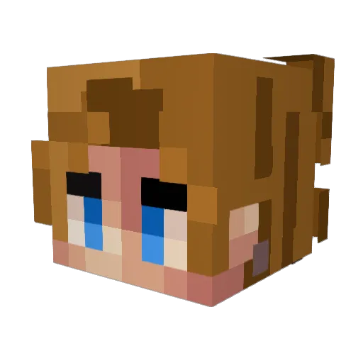 shufflebutter Minecraft avatar head, 3D render