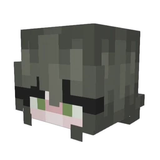 shuffleoflove Minecraft avatar head, 3D render