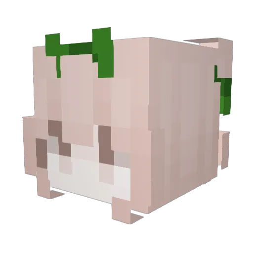 shuihui Minecraft avatar head, 3D render