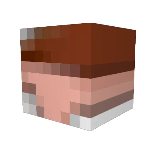 shuii420 Minecraft avatar head, 3D render