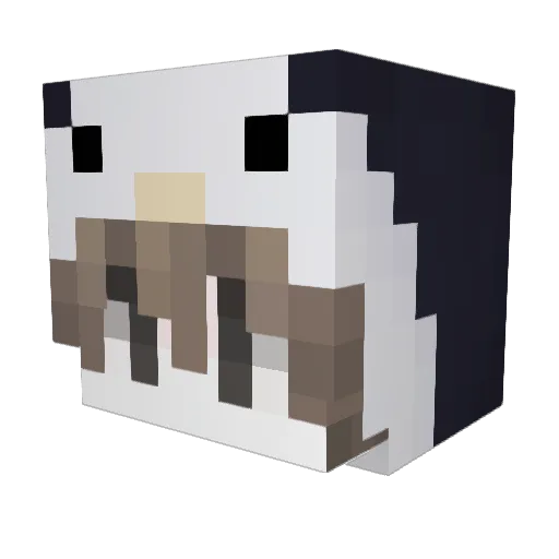 shuiyishan Minecraft avatar head, 3D render