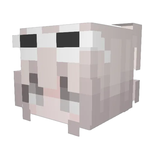 shuiyueliuli Minecraft avatar head, 3D render