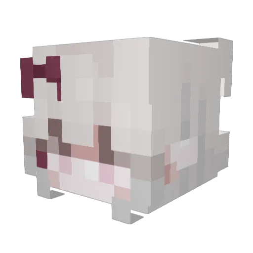 shukeypokey Minecraft avatar head, 3D render