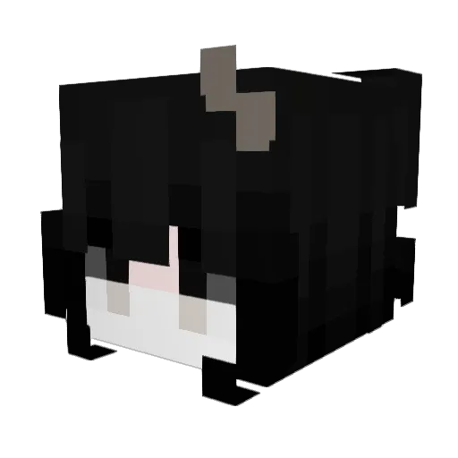 shuklaaa Minecraft avatar head, 3D render
