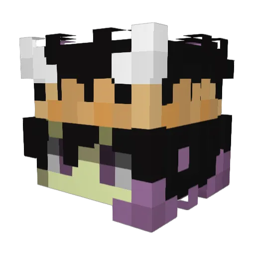 shulker42 Minecraft avatar head, 3D render