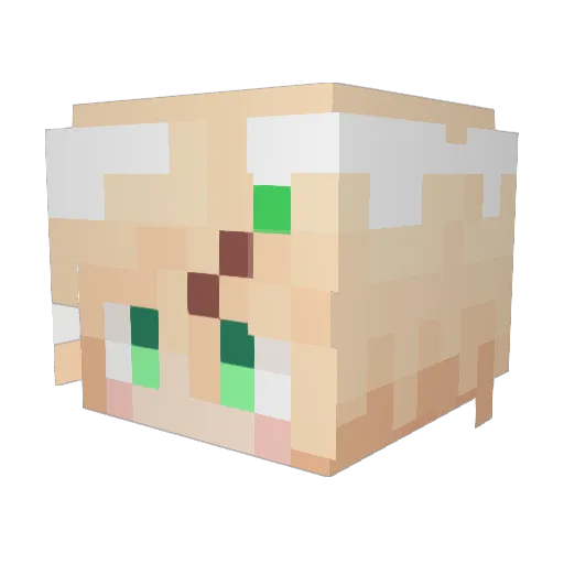 shumai0216 Minecraft avatar head, 3D render