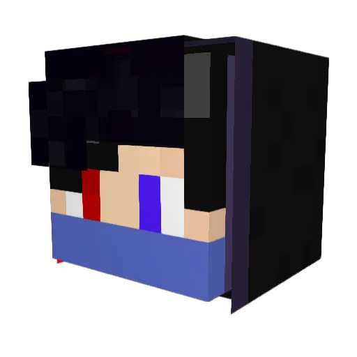 shun217 Minecraft avatar head, 3D render