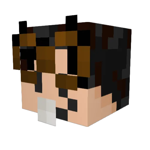 shundesu Minecraft avatar head, 3D render