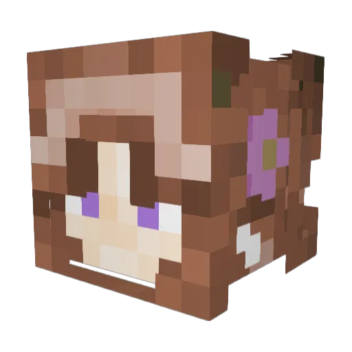 shunianx Minecraft avatar head, 3D render