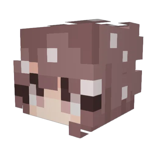 shunnej Minecraft avatar head, 3D render