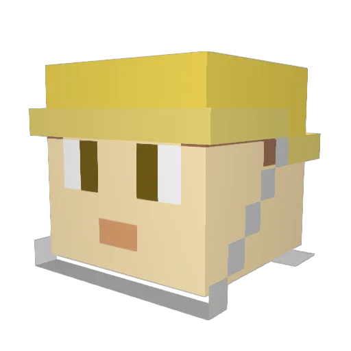 shunter314 Minecraft avatar head, 3D render