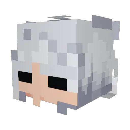 shurer Minecraft avatar head, 3D render
