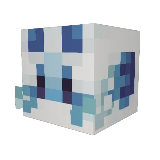shuriifish Minecraft avatar head, 3D render