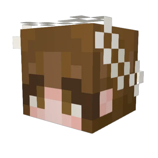 shurulz Minecraft avatar head, 3D render