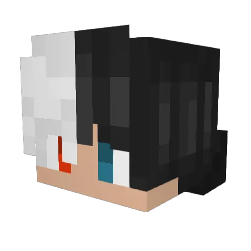 shusei192 Minecraft avatar head, 3D render