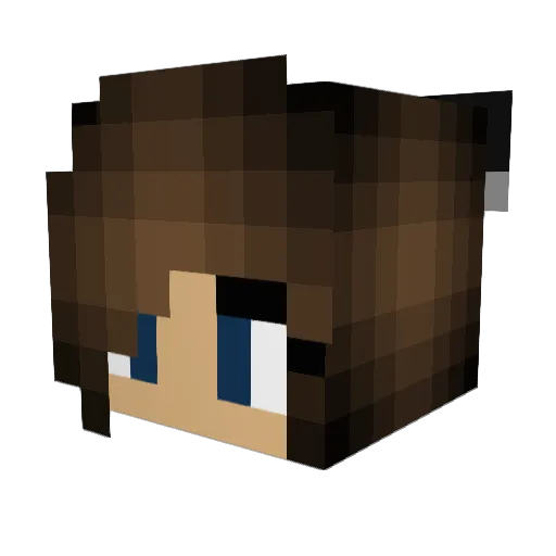 shushiii_xd Minecraft avatar head, 3D render