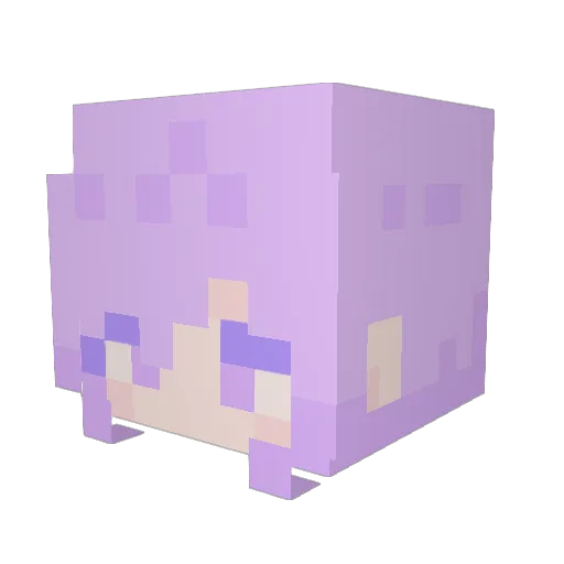 shushoes Minecraft avatar head, 3D render