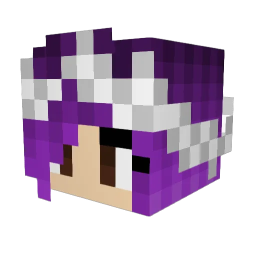 shuu2121 Minecraft avatar head, 3D render