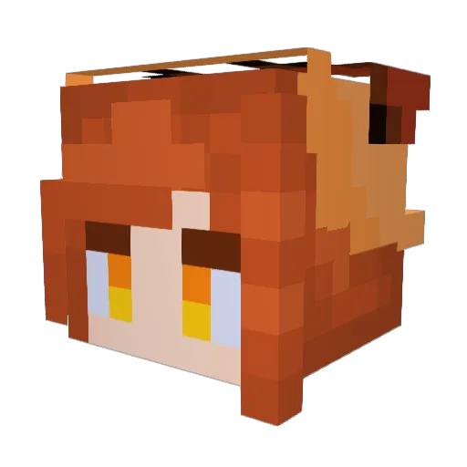 shuu4 Minecraft avatar head, 3D render