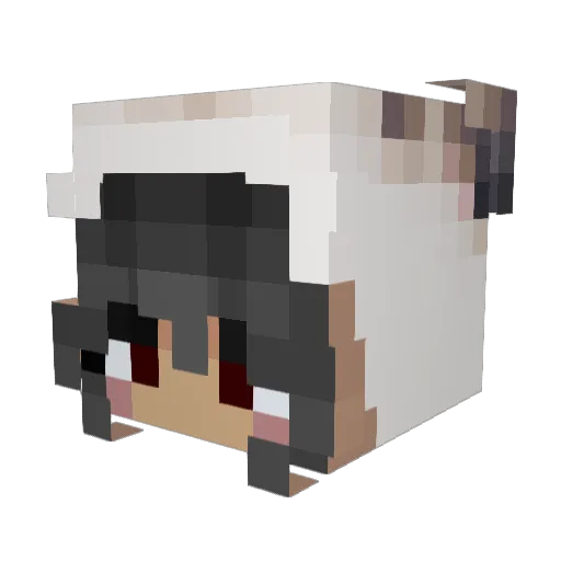 shuumeow Minecraft avatar head, 3D render