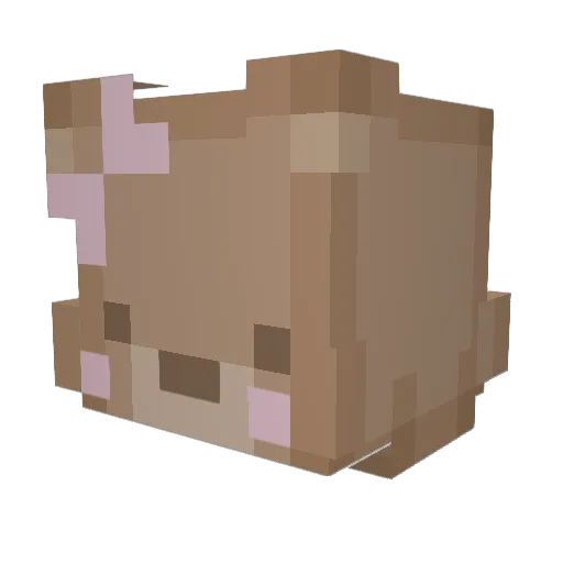 shuuna Minecraft avatar head, 3D render