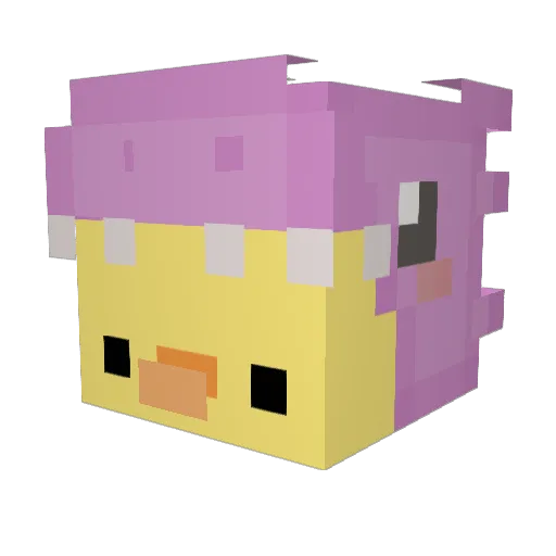 shuvidoo Minecraft avatar head, 3D render