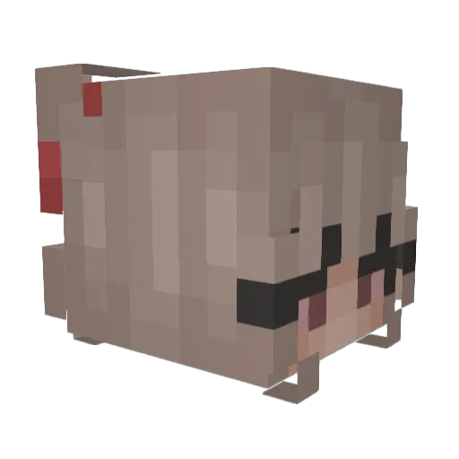 shwachii Minecraft avatar head, 3D render
