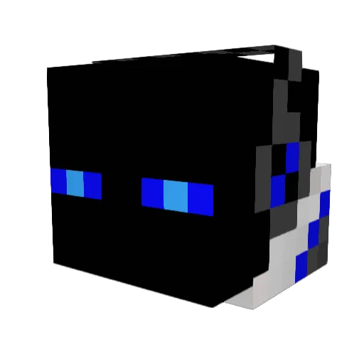 shwampdonkey33 Minecraft avatar head, 3D render