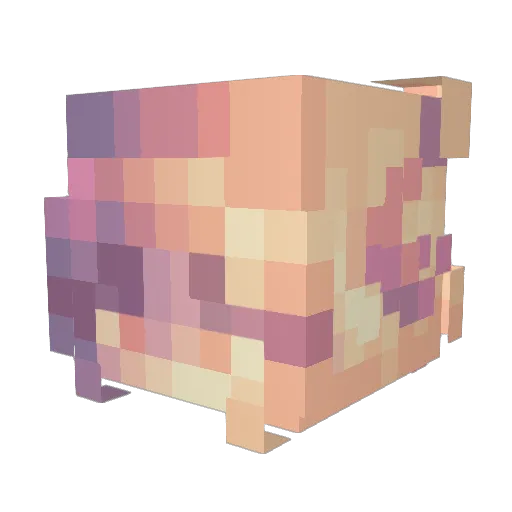 shwibs Minecraft avatar head, 3D render