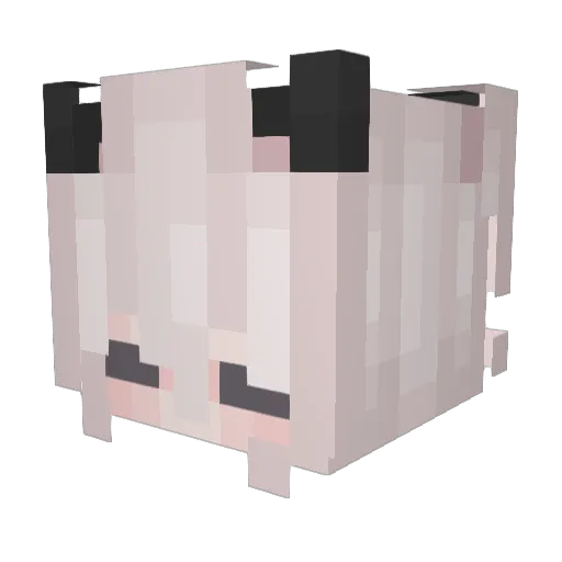 shwivo Minecraft avatar head, 3D render