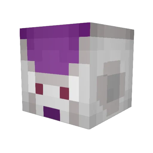 shww_ Minecraft avatar head, 3D render