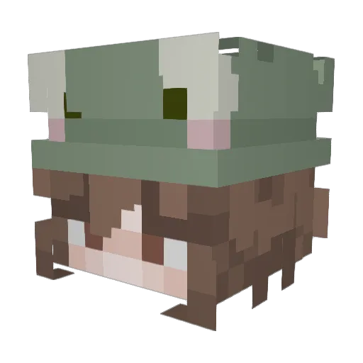 shxini Minecraft avatar head, 3D render