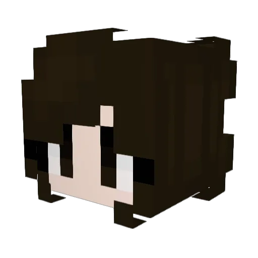 shyanntbh Minecraft avatar head, 3D render