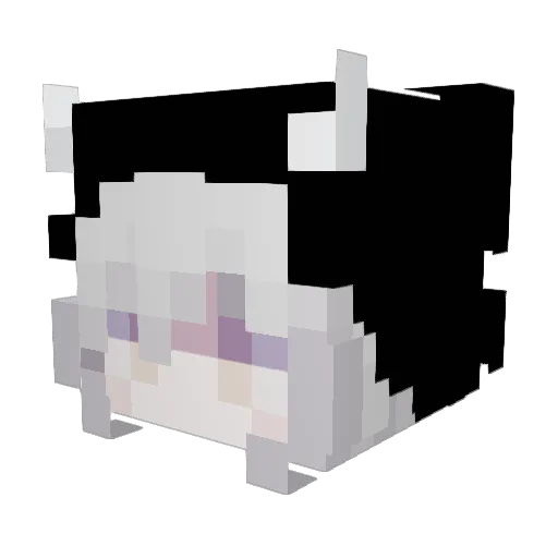 shybruh Minecraft avatar head, 3D render
