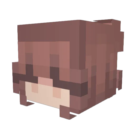 shyburski Minecraft avatar head, 3D render