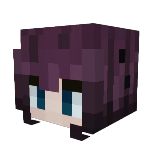 shydration Minecraft avatar head, 3D render