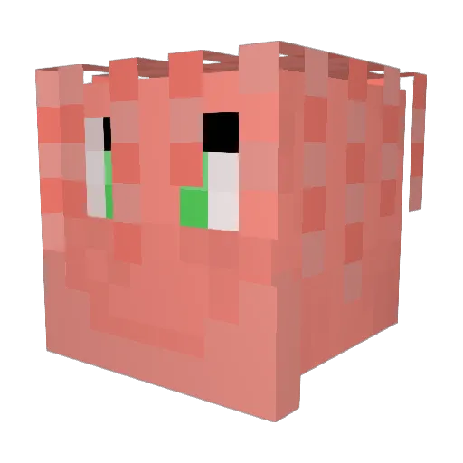 shyfinite Minecraft avatar head, 3D render